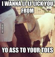 I Wanna Li Li Lick You 9gag