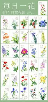 生日花5月合集 到此一整年都画 haru hello red lily vintage images flower pictures