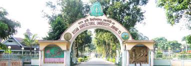 Rajiv gandhi university is the prime university of arunachal pradesh. Assam Rajiv Gandhi University Of Co Operative Management