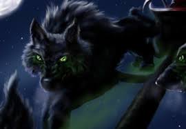 Browse 6,060 wolf eyes stock photos and images available, or search for wolf eyes dark or glowing wolf eyes to find more great stock photos and pictures. Wolf With Green Eyes Other Animals Background Wallpapers On Desktop Nexus Image 1109131