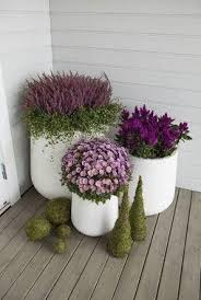 Pin Von Maus Hund Auf Garten In 2020 Vorgarten Ideen Garten Vorgarten