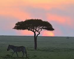 Robert Lepore (@leporerobert35) · Instagram photos and Reels