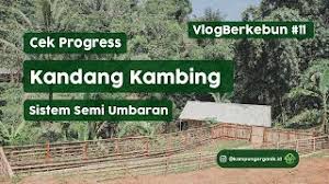 Demikian itu karena untuk di indonesia sangat jarang sekali yang menggunakan kandang umbaran, mungkin hanya beberapa peternak besar seindonesia. Kandang Kambing Apk Download 2021 Free 9apps