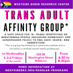 Trans Adult Affinity Group (18+) | WQRC — Queer...