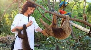 South america's amazon contains nearly a third of all the tropical rainforests left on earth. Volunteer Peru Wildlife Nature Ngo Taxi