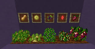 Despite harming any mob that comes into contact with it, endermen can pick up the cactus. Cultivos En Harvestcraft Mod Para Minecraft Frutas Minecraft Juega Gratis