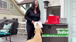 Maintains a special fund for the emergency care of labs who are abandoned in multiple numbers, i.e. Lu S Labs Labrador Retriever Rescue