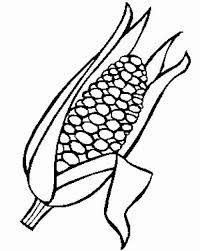 Find the top 100 most popular items in amazon books best sellers. Coloring Pics Of Indian Corn Thanksgiving Indian Corn Coloring Page Thanksgiving Coloring Pages Fall Coloring Pages Thanksgiving Activities For Kids