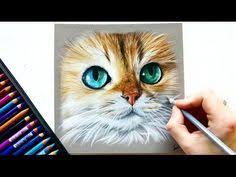 Drawing A Photorealistic Cat Portrait With Pastel Pencils Leontine Van Vliet Youtube Katten Tekening Dieren Tekenen Pastel Tekening