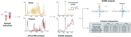 Investigation Of The Individual Human Sulfatome In Plasma And Urine Samples Reveals An Age Dependency Rsc Advances Rsc Publishing Doi 10 1039 D1ra05994g