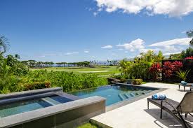 Image result for Lopholaena sp.no.1