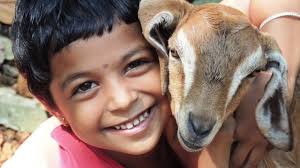 Bliss Planet Appreciation Edition