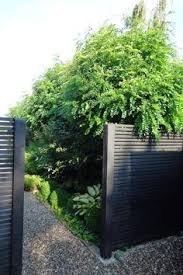 Homeadvisor's fence painting & staining guide provides average prices for stain, paint and professional labor for wrought iron average costs to paint or stain fences. 42 Black Fence Ideas Black Fence Garden Design Outdoor Gardens