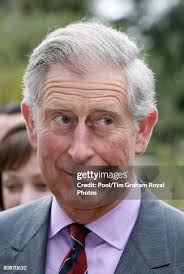 326 Dazed 25th Stock Photos, High-Res Pictures, and Images