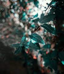 Utilizing artificial intelligence (ai) technology, the picsart background remover automatically identifies the background of your image and removes it for you. 750 Edit Pictures Hq Download Free Images Stock Photos On Unsplash