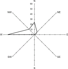 Image result for Tragus koelerioides