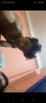 _VIRAL__VIDEO_!*] ASIAN 18+ Teen School Girl Porn XXX video Orginal sex  videos new