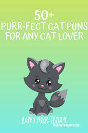 50 Hiss Terically Purr Fect Cat Puns For Any Cat Lover