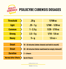 Microdosing Psilocybin Common Dosage Explained Reality