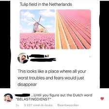 What do you need to know about code rood? Pin By Anneke De Jong On Belastingdienst Wow Memes Latin Memes Cold Memes