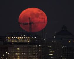 A surfer in sydney, australia, as a super blood moon rose on wednesday. Super Blood Moon Is Coming Total Solar Eclipse And Supermoon Converging Explained