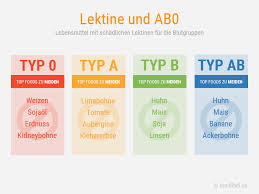 Ernahrung 3 0 Ist Typgerecht Foodfibel Blutgruppe A Blutgruppe Blutgruppe 0 Ernahrung