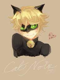 The Next Ladybug Chat Noir X Reader Ladybug And Chat Noir Miraculous Ladybug Cat Noir Miraculous