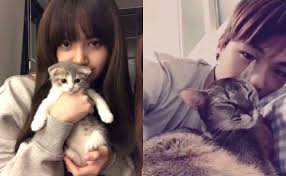 This led to speculations if rose is dating got7's mark tuan. Blackpink S Lisa To Got7 S Jb These Kpop Stars Are Obsessed With Their Pet Cats