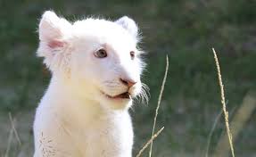 Tlaxcala sí existe! Te decimos por qué debes visitarla