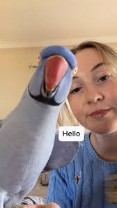 Just some good vibes from ya Blue flavour of serotonin.