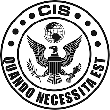 Image result for critical intervention services