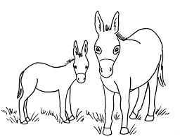 Our coloring pages are free and classified by theme , simply choose and print your drawing to color for hours! Donkey Coloring Page Art Starts