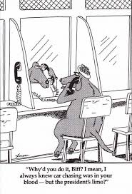 Pin By Jordy On Gary Larson Funny Cartoons Jokes Gary Larson Cartoons Far Side Comics