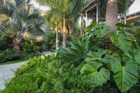Not a lot of space in my fenced in backyard, but have made some lovely improvements to the landscape. Design A Tropical Garden Hgtv