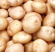 Image result for Solanum tuberosum
