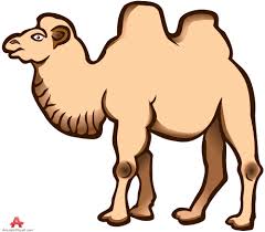 Over 1,216 camel hump pictures to choose from, with no signup needed. Hump Day Camel Clipart Kid Cliparting Com