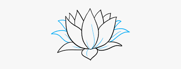 Clip Art How To Draw A Lily Pad Flower Drawing Free Transparent Clipart Clipartkey 1452 x 716 jpeg 91 кб.
