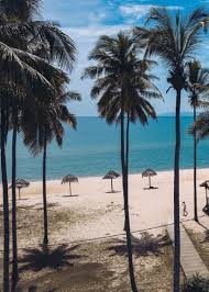 Raya lojejer, area kebun, lojejer, wuluhan, kabupaten jember, jawa timur 68162 pantai papuma jember daftar baca cepat »»» buka pantai papuma jember rute lokasi pantai … Cantik Betul Pemandangan Di Pantai Trip Jalan Jalan Facebook