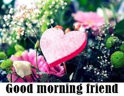 Discover thousands of pictures and messages about good morning friends. 38 Good Morning Hd Flower Images For Free Photo Download For Whatsapp Pics Pagal Ladka Com