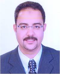 Nasr-Eldin Mohamed M. Aref