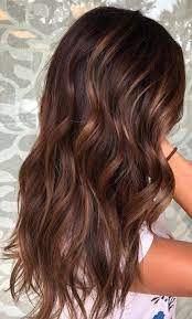 54 Ideas Hair Color Chocolate Copper Dark Brown Chestnut Hair Color Brown Hair Balayage Brunette Hair Color