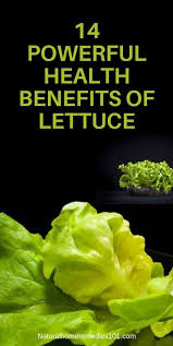 14 Powerful Health Benefits Of Lettuce Lettuce Benefits Health Nutrition