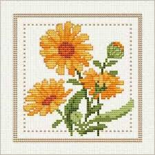 Free Cross Stitch Chart Flower Of The Month Includes Other