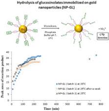 +33 2 32 09 51 51. Capillary Electrophoresis With Dual Detection Uv C4d For Monitoring Myrosinase Mediated Hydrolysis Of Thiol Glucosinolate Designed For Gold Nanoparticle Conjugation Sciencedirect