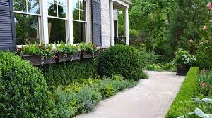 Green Beauty Boxwood Monrovia Green Beauty Boxwood Landscaping Around House Shade Garden Walkway