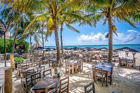 Catalonia playa maroma 2018 resort tour & review. A Dozen Of The Best Beach Clubs In The Riviera Maya Bric Vacation Rentals