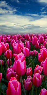 Https Encrypted Tbn0 Gstatic Com Images Q Tbn 3aand9gcrxz6xlxxg5sopgabh7 92yf0spebn0ye8w1g Usqp Cau
