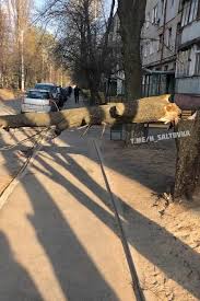Свежие новости харькова и харьковской области. Novosti Harkova Glavnye Harkovskie Novosti Novini Harkova