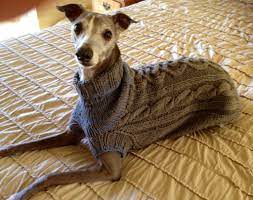 Maybe you would like to learn more about one of these? Whippet Sweater Pattern Pdf File Only Whippet Greyhound Dog Sweater Sweater Pattern
