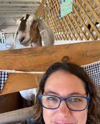 We certainly love cows the most but we also like meeting other animals at  the fair. Yesterday, I was in charge of keeping our heifer clean. I sat in  her stall and